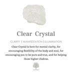 FREE Today: Natural Crystal Duck Gemstone Decoration