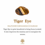 FREE Today: Guardian's Flame-Tiger Eye & Obsidian Protection Orgone Pyramid