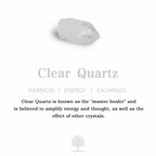 FREE Today:  Black Obsidian Arrowhead Necklace