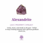 FREE Today:  Olivenorma The Light Soul - Alexandrite Ring