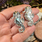Abalone Seahorse Necklace