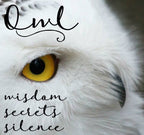 Affraic Celtic Owl Necklace