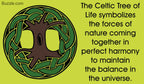 Áedh Tree of Life Ring