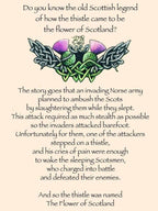 Alloa Thistle Necklace