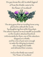 Alba Thistle Necklace