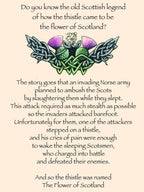 Ailsh Thistle Bracelet