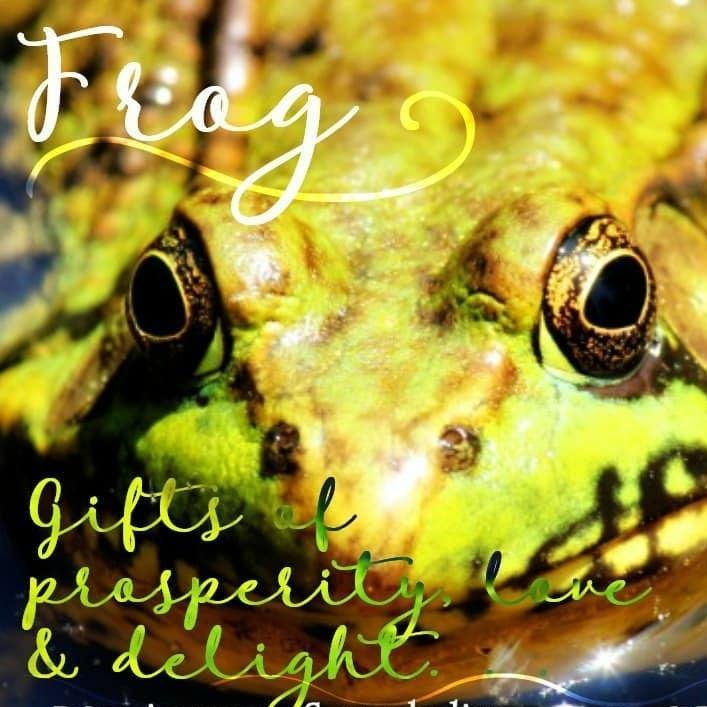 Abalone Frog Earrings